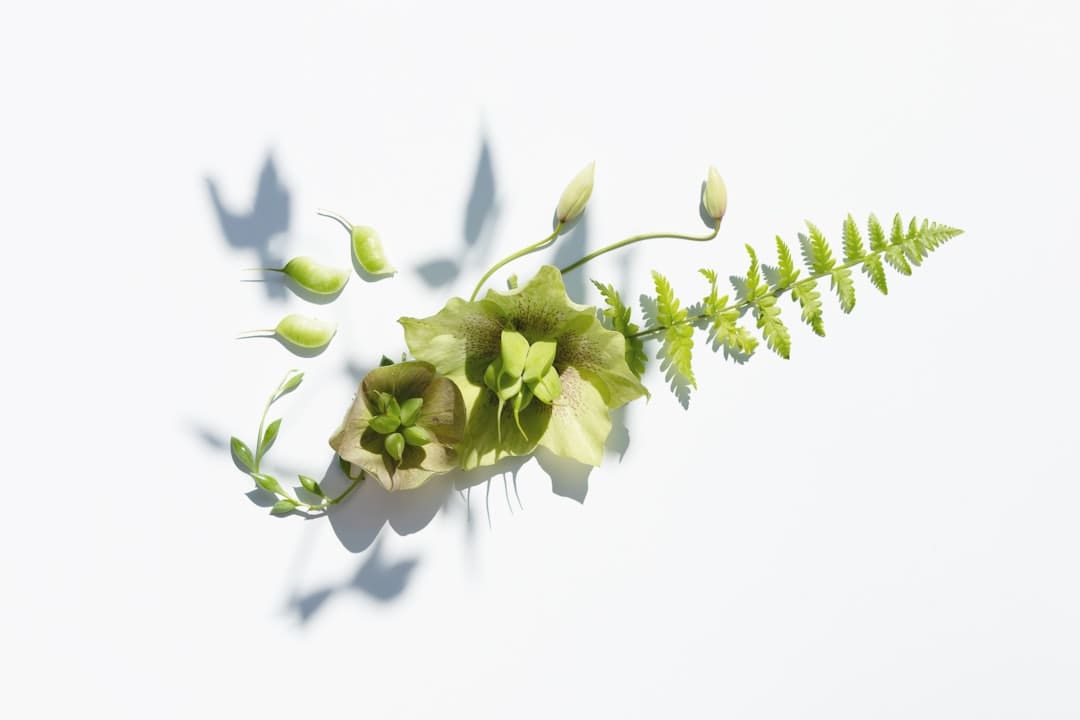 “鲜花经济”美丽开放